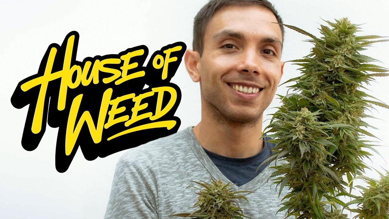 House of Weed Trailer del canal YouTube