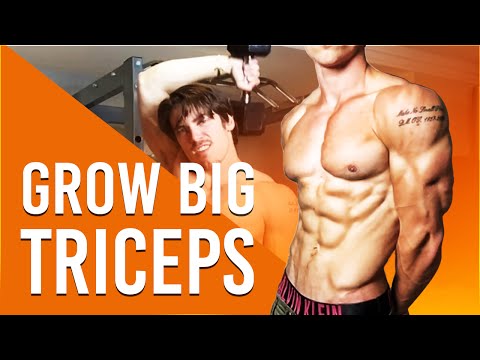 How to Build Big Triceps - My Workout for Powerful Triceps