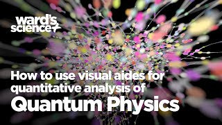 Famous Seeing is Believing: Using visual aides for quantitative analysis of quantum physics Wealth