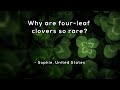 Why are fourleaf clovers so rare