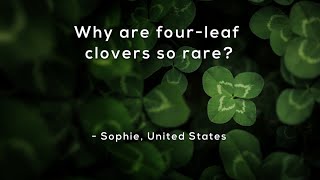 Why are fourleaf clovers so rare?