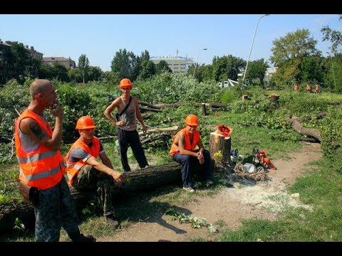 В Запорожье пал сквер Яланского