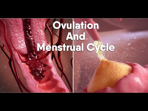 Video: Waar kom menstruasies vandaan?