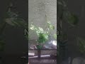 Dia chuvoso em Natal!!