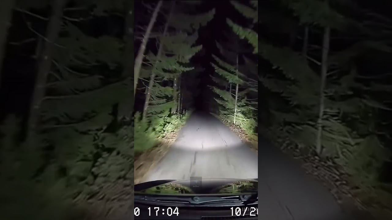 You’re inside an AIllusion 👁️ 