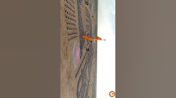 RSS Mass Whatsapp Status✨⛳ || RSS || Modi || Saffron Media #rss #rashtriyaswayamsevaksangh