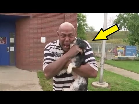 Video: Bolí je chytit psa za pačesy?