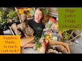 Huge Josh's Frogs Unboxing!!!!!!!