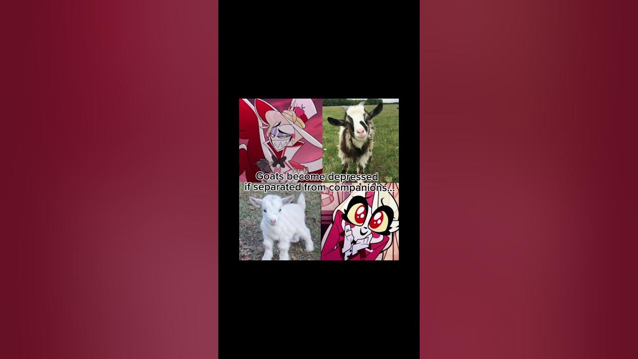 My baby’s… #music #song #mitski #audio #spotify #hazbinhotel #haveitoldyoulatelythatiloveyou