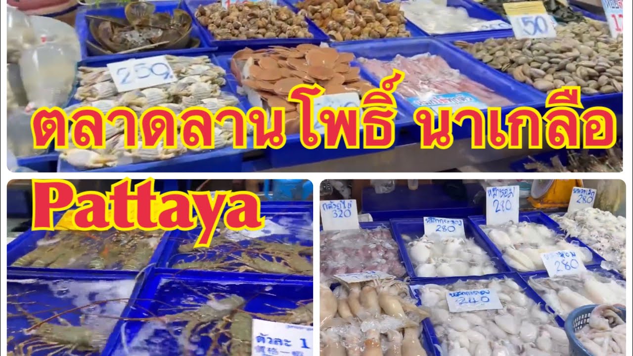 ตลาดลานโพธิ์ นาเกลือ พัทยา#ขายอาหารทะเล#พัทยา#Pattaya | สรุปเนื้อหาที่มีรายละเอียดมากที่สุดเกี่ยวกับร้าน อาหาร ทะเล พัทยา นา เกลือ