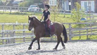 Haygrazer e-riders Novice 28 (2008) restricted