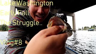 Lake Washington: Early Fall Bass Fishing VLOG#8 The Struggle.. Lake Washington: Early Fall Bass Fishing VLOG#8 The Struggle..