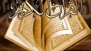 صوت عذب وجميل سورة القلم | للشيخ مؤيد المزين