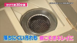 触りたくない水回りのぬめり、悪臭を一発解消！「業務用 強力パイプ洗浄剤 「ピカットロンプロ」特別セット」