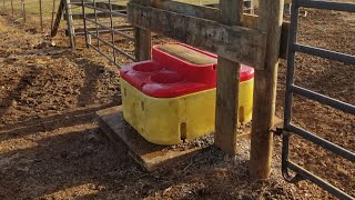 Ritchie water troughs and why we insulate them during the winter. by Long Farms 115 views 5 months ago 4 minutes, 48 seconds