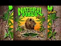 Natural Vibes Riddim Mix (2024) Jah Cure,Busy Signal,Ginjah,Lutan Fyah,Pressure,Turbulence....