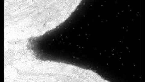 nanoparticles self assembly