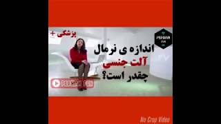 اندازه طبیعی آلت تناسلی چقدر است؟