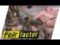 Covered In Eels | Fear Factor Extra