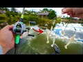 CRAZY Fall Bass Fishing w/ A-RIG Caught 4 FISH in 2 CASTS!! (FEEDING FRENZY)