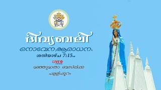 Holy Mass,Novena,Adoration Live @7.15AM Saturday 4/5/24 From Basilica Of Our Lady Of Snow, Palliport