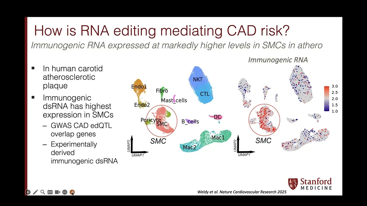 Journal Club November 24