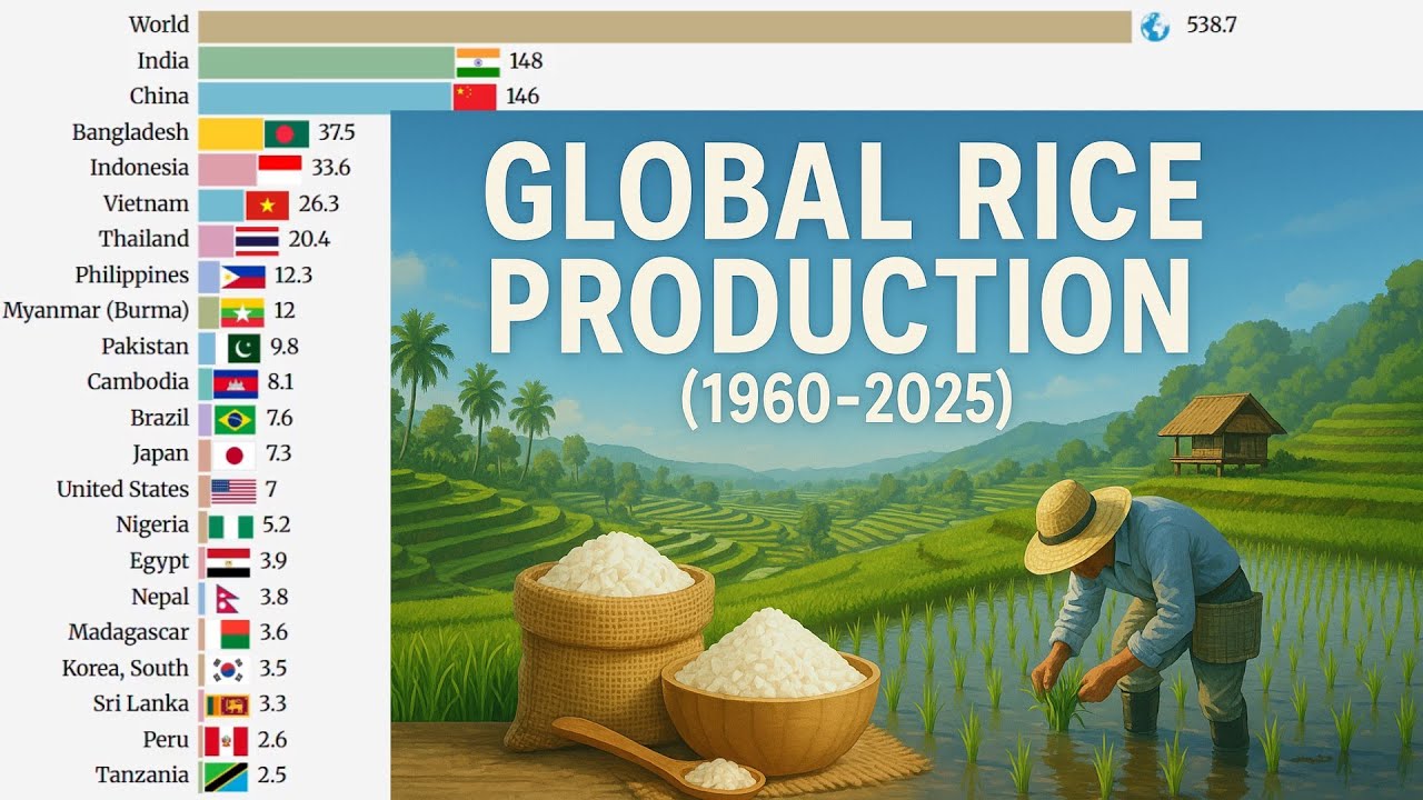 Global Rice Production by Country (1960-2025) - YouTube