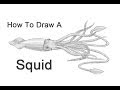 How to Draw a Squid