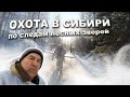 Охота в Сибири. По следам лесных зверей.