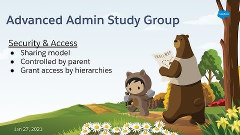 Salesforce Advanced Admin Study Group - Security & Access - part 1
