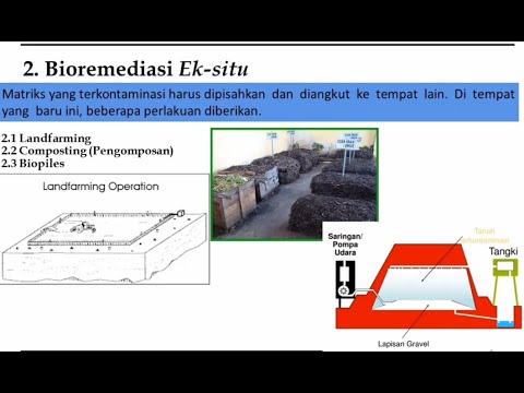 MATERI KULIAH | Teknik Bioremediasi | Keuntungan Bioremediasi | Teknik Lingkungan ~ Oto Prasadi