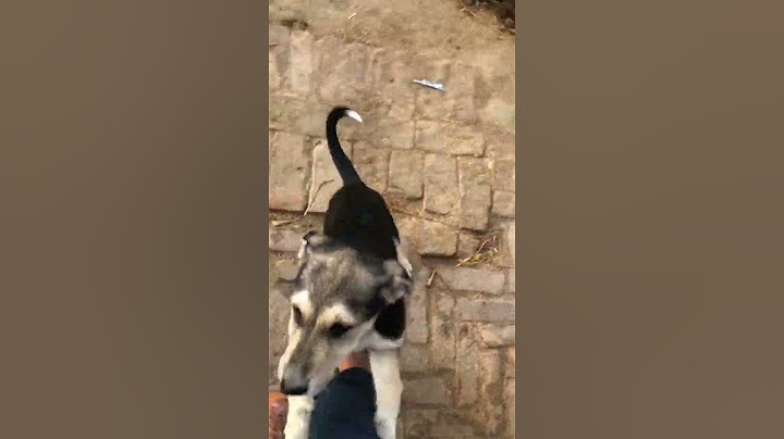 बच्चो के साथ मस्ती करने में मजा आया बहुत बाद में वो भी खुश #trend #humanity #trending #viraltrend