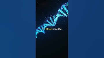 You are made of Star Dust!