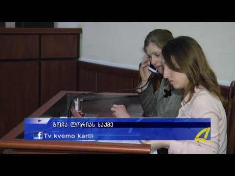 გოჩა ლორიას საქმე 06- 02 -2017