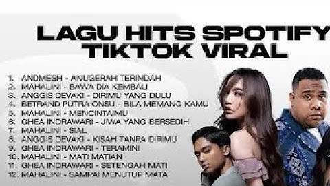 KUMPULAN LAGU HITS SPOTIFY TIKTOK VIRAL 2025 - LAGU INDONESIA TERBAIK