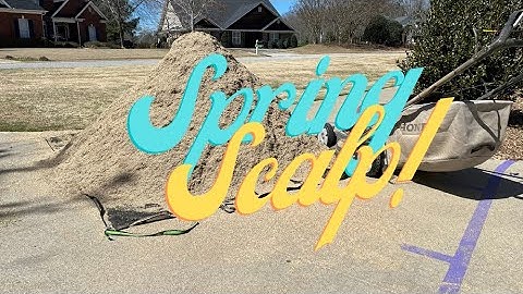 Spring Scalp of Bermudagrass