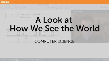A Look At How We See The World | Computer Science | Chegg Tutors