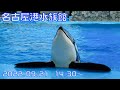 ◆名古屋港水族館　シャチ公開トレーニング（アース）（2022.09.21）14:30~ ◆