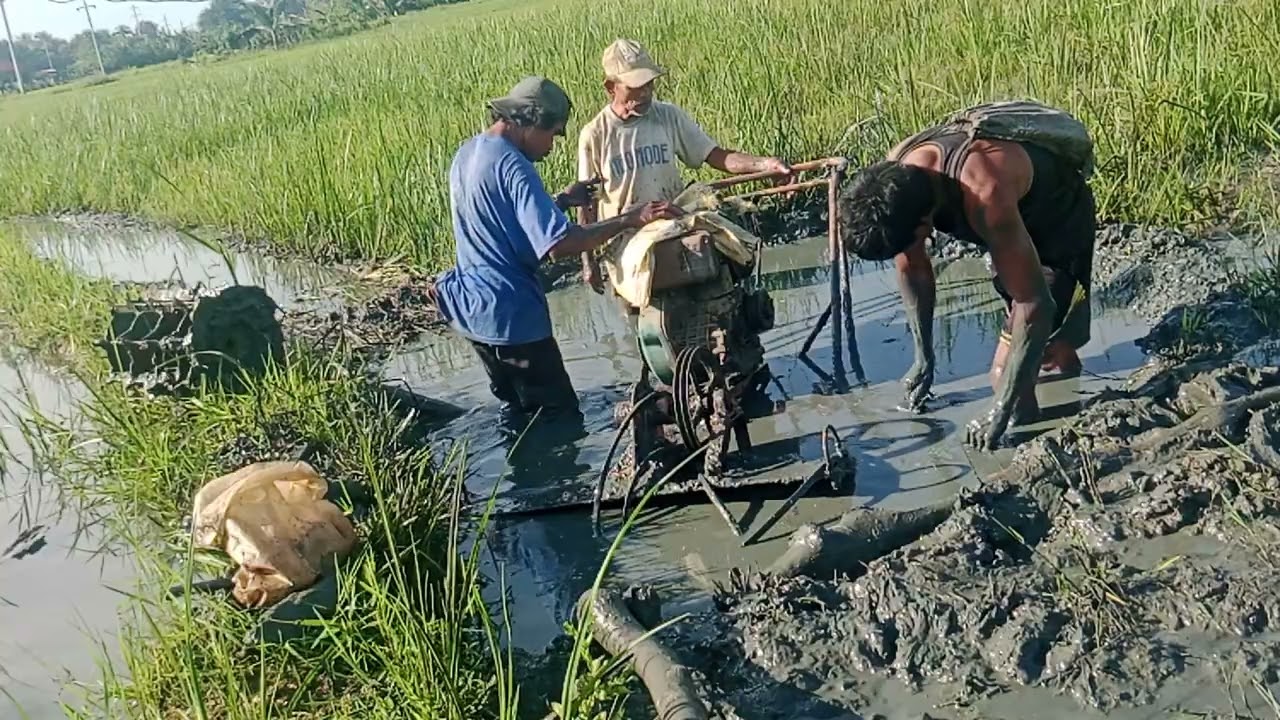 Nag lubong sa tulogban og kabaw Ang kubota namo