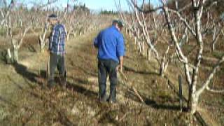 DSCF0456.AVI