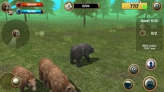 Wild Bear Simulator 3D Android Gameplay #2 screenshot 4