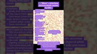 Infectious mononucleosis, caused by EBV spreads through saliva and results in Downey cells #biology