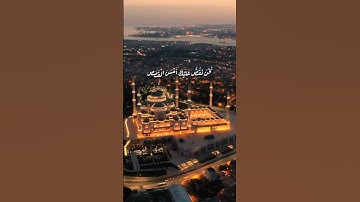 واتس أب قرآن كريم #الشيخ عمر الدريويز من سورة يوسف