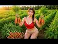 TIMELAPSE – 365 Days Growing And Harvesting Carrots 🥕🌿