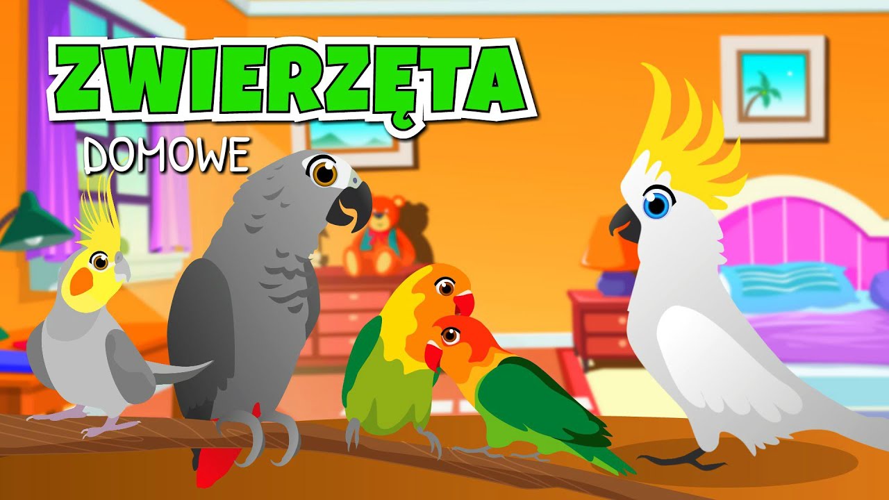 Zwierzęta domowe - Bajki dla dzieci - Filmy edukacyjne o zwierzętach