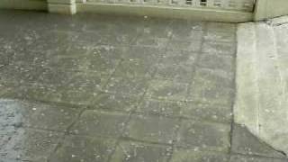 DSCF2485.AVI