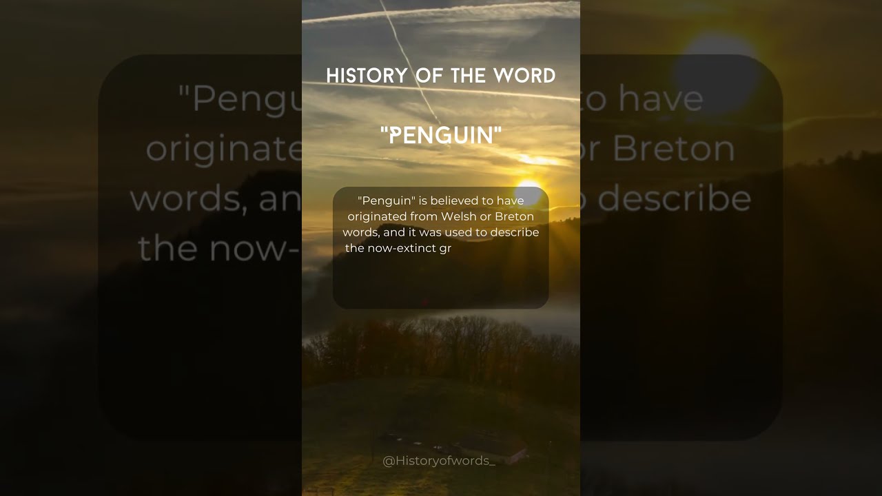 History of the word "Penguin" 