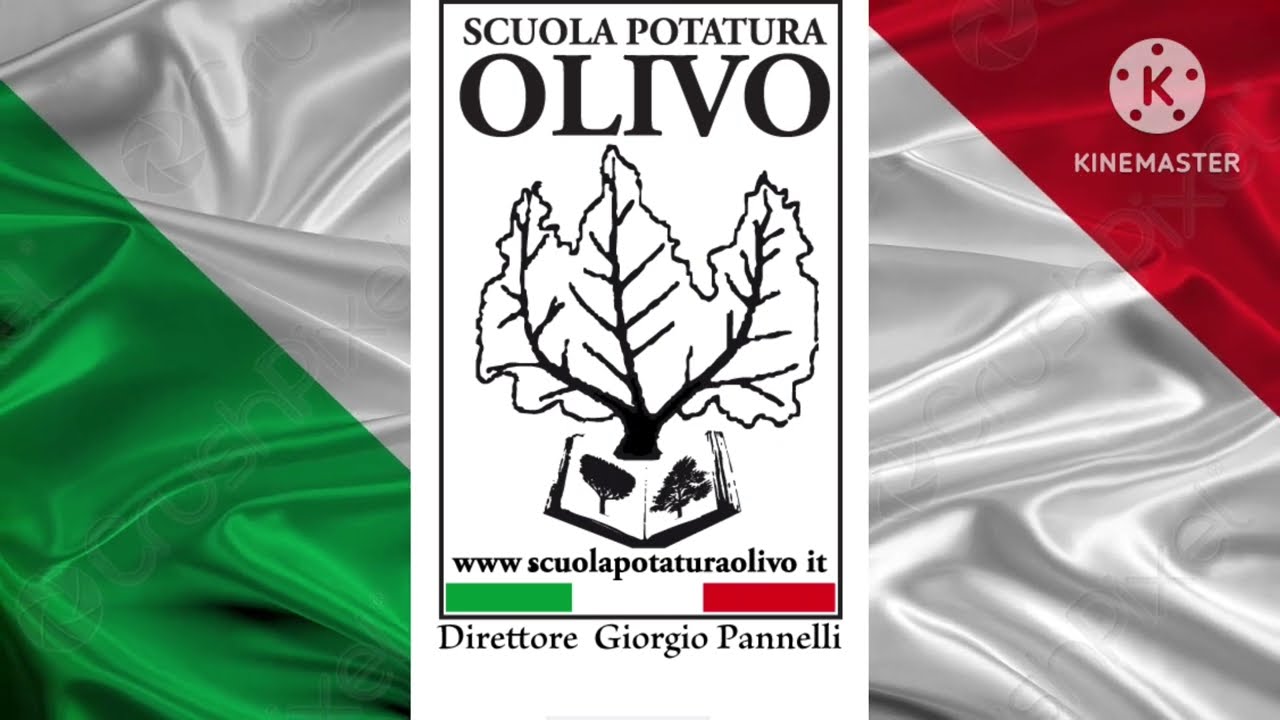 Giorgio Pannelli riforma olivo a vaso policonico. Chiaramonte Gulfi dicembre 2023