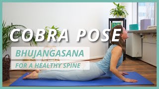 Tips for Understanding Bhujangasana