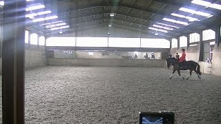 Brinsbury College Equine Drill Ride
